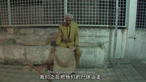 杀戮演绎在线观看,在线观看，揭秘生死边缘的惊悚之旅  第2张