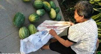 新沂新瓜最新爆料视频,最新爆料内容大起底 第1张 新沂新瓜最新爆料视频,最新爆料内容大起底 第1张